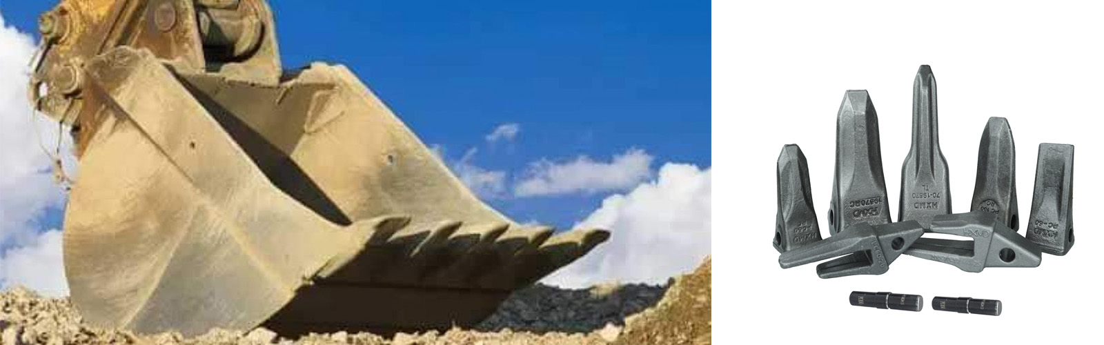 chat 320 dents de godet